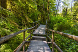 Lynn Canyon Park, North Vancouver, BC, Canada. Beautiful Wooden Hiking Trail in the Rainforest. Sunny Summer Morning.