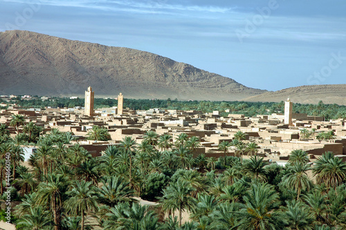 Palm grove of  Figuig in south-eastern Morocco photo