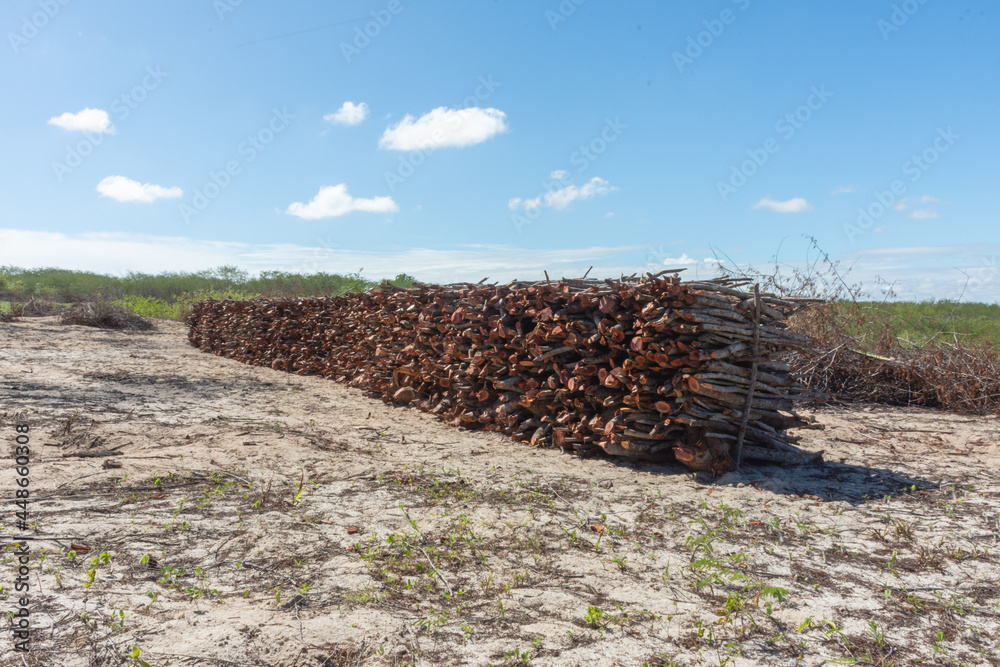Lenha cortada empilhada e pronta para abastecer o fogo Lenha cortada empilhada e pronta para abastecer o fogo