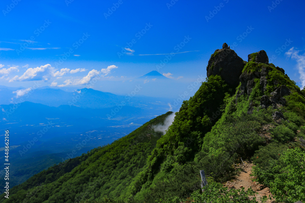 Fototapeta premium 南八ヶ岳 権現岳東峰山頂と富士山遠景