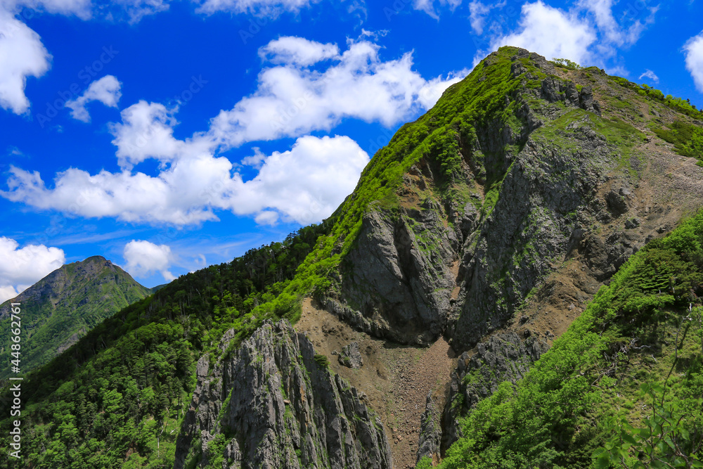 南八ヶ岳　権現岳山頂への道　権現岳西峰