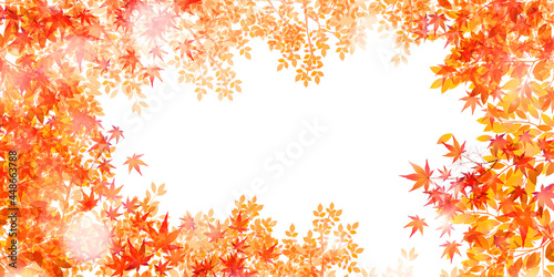 紅葉　もみじ　秋　背景
