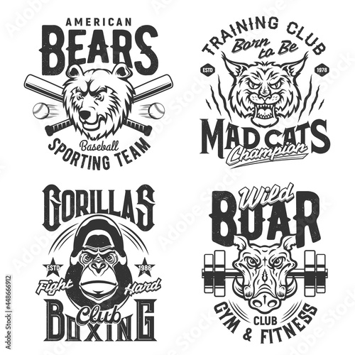 Sport gym and fitness club t shirt prints and quotes, vector icons. Amercian baseball sport team bear mascot, boxing and fight club gorilla, wild boar with gym barbell and lynx of champion training