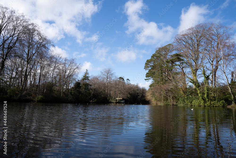 lake in the park lake in the park