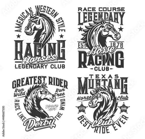 Horse racing sport and equestrian club t-shirt prints. Horse stallion, american mustang mascot head vector. Equestrian sport competition, derby racing course apparel custom print design
