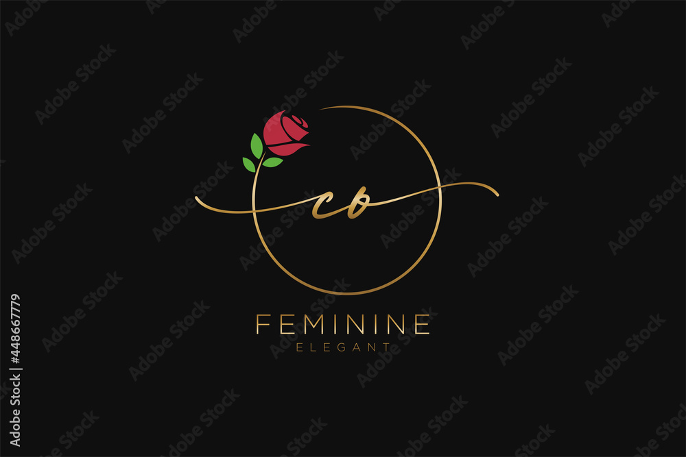 initial CO Feminine logo beauty monogram and elegant logo design, handwriting logo of initial signature, wedding, fashion, floral and botanical with creative template. - obrazy, fototapety, plakaty 