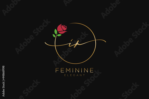 initial IR Feminine logo beauty monogram and elegant logo design, handwriting logo of initial signature, wedding, fashion, floral and botanical with creative template.