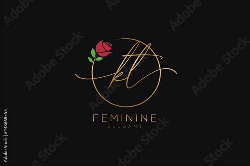 initial KT Feminine logo beauty monogram and elegant logo design, handwriting logo of initial signature, wedding, fashion, floral and botanical with creative template.
