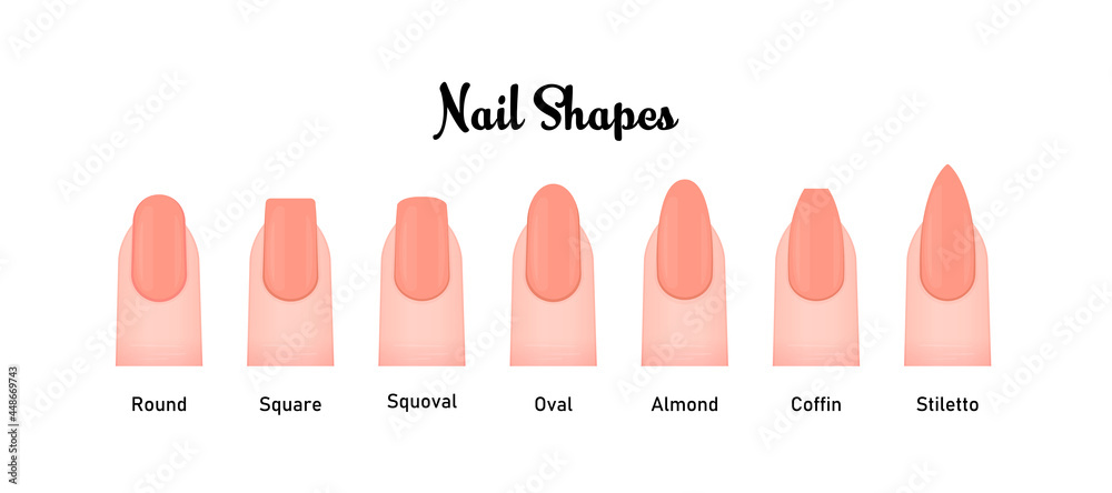Various nail shapes vector illustration set Stock Vector | Adobe Stock