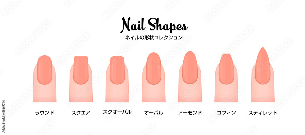 爪 ネイルの形 バリエーションイラストセット Stock Vector Adobe Stock