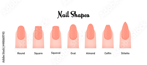 Fotografia Various nail shapes vector illustration set