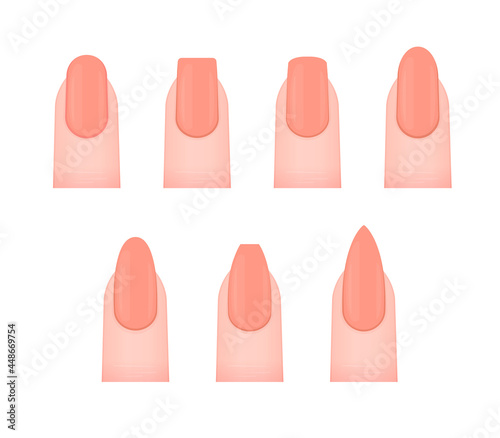 Various nail shapes vector illustration set © barks