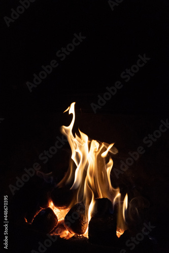 fire in the fireplace © Ricardo