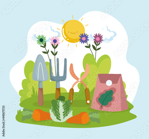 garden vegetables and tools