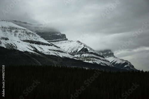Winter landscape