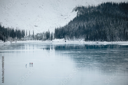 Snowy landscape