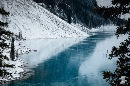 Snowy landscape
