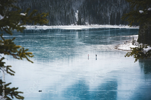 Snowy landscape