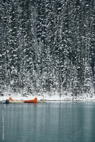 Snowy landscape