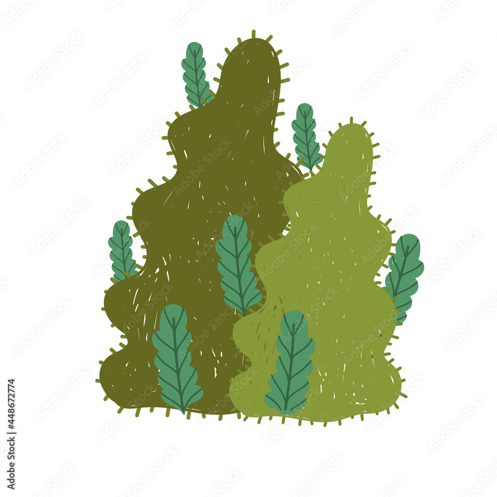foliage nature botanical foliage nature botanical