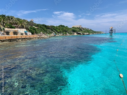 Arrecifes de coral en Isla Mujeres, México 
