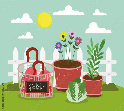 garden organic vegetables