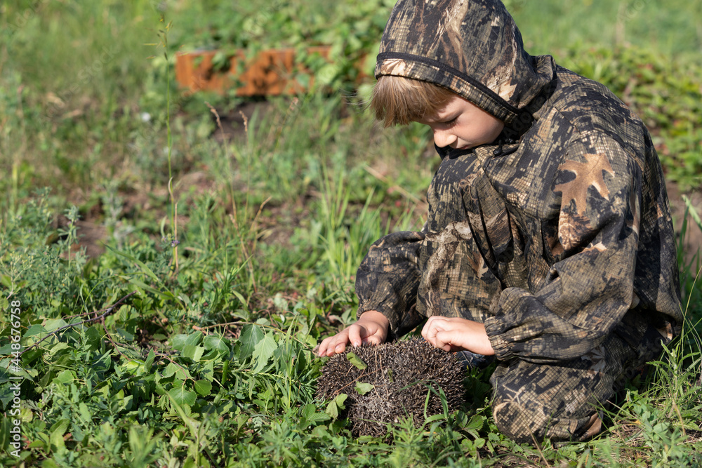 little boy touches and tries to open hedgehog, which he found in forest little boy touches and tries to open hedgehog, which he found in forest