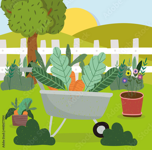 gardening wheelbarrow carrots