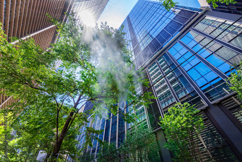 真夏のオフィス街の並木路と街路樹に設置されたドライミスト / 丸の内仲通りの風景（2021年7月）