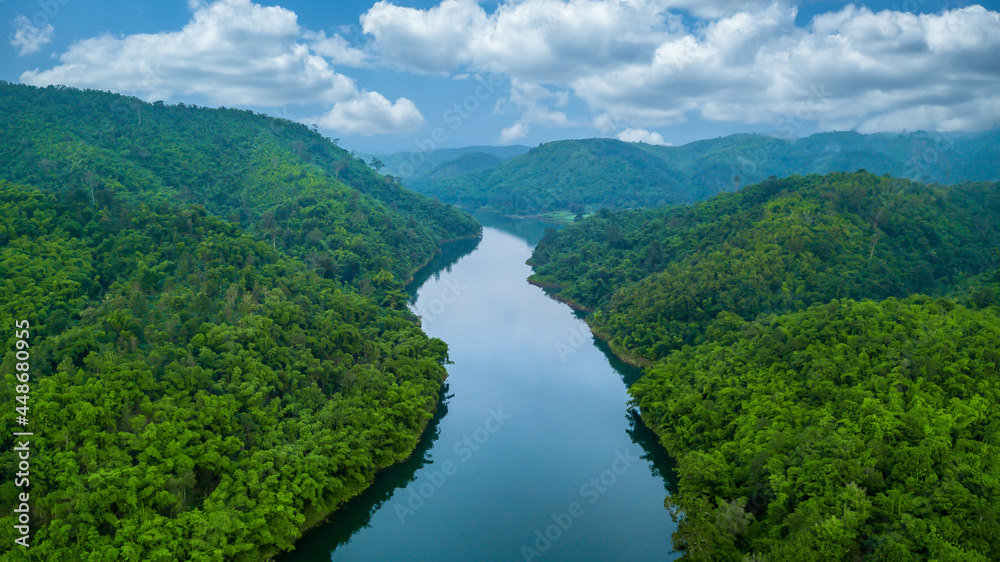 Aerial view river and forest tree, Rainforest ecosystem and healthy environment, Natural scenery of river in southeast Asia tropical green forest.