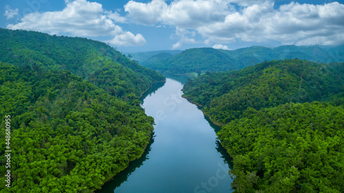 Aerial view river and forest tree  Rainforest ecosystem and healthy environment  Natural scenery of river in southeast Asia tropical green forest.