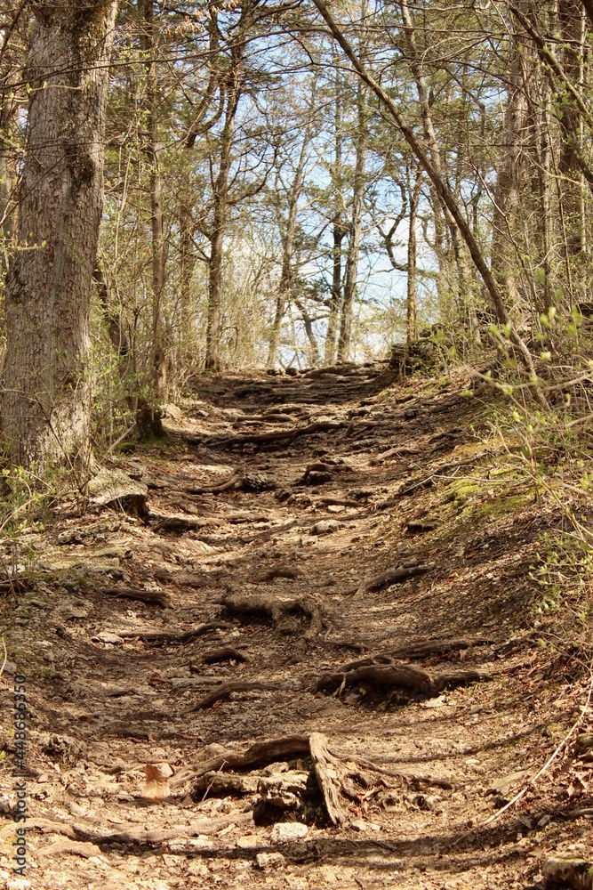 Fototapeta premium Rugged Trail