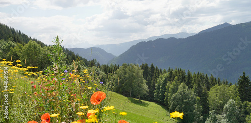MTB auf die Gerlitzen - Hoch über dem Ossiacher See in Kärnten