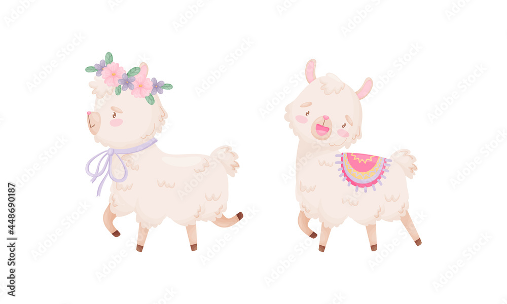 Cute Llama or Alpaca Walking with Floral Wreath Vector Set