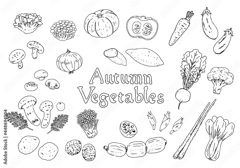 手描きモノクロ線画 秋の野菜のイラストセット Stock Vector Adobe Stock