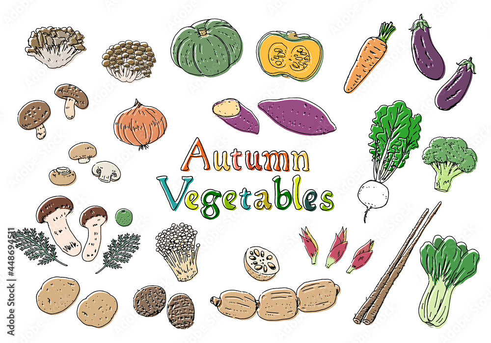 手描き線画 秋の野菜のイラストセット Stock Vector Adobe Stock