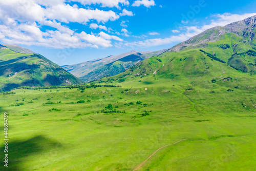 Mountain and forest with grassland natural scenery in Hemu Village,Xinjiang,China.