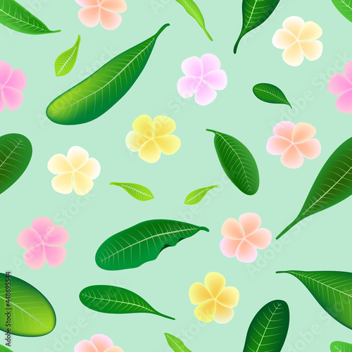 Colorful of Plumeria blossom bouquet seamless pattern background. Vector illustration.