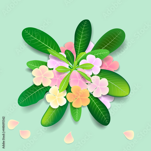 Colorful of Plumeria blossom bouquet. Vector illustration.