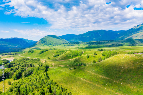 Mountain and forest with grassland natural scenery in Hemu Village,Xinjiang,China.