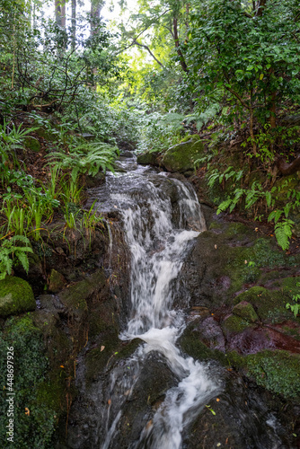 石川県白山市の白山神社周辺の風景 Scenery around Hakusan Shrine in Hakusan City, Ishikawa Prefecture 