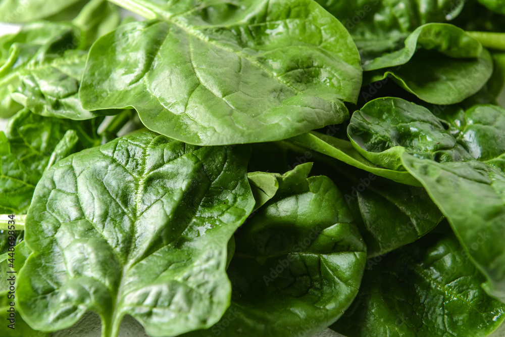 Fresh spinach leaves as background Fresh spinach leaves as background