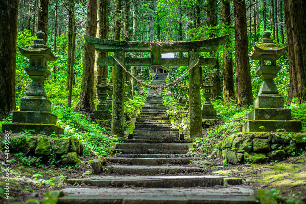 Obraz premium 上色見熊野座神社