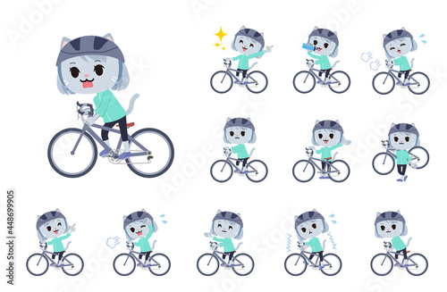 ロードバイクに乗ったネコの女の子のセット