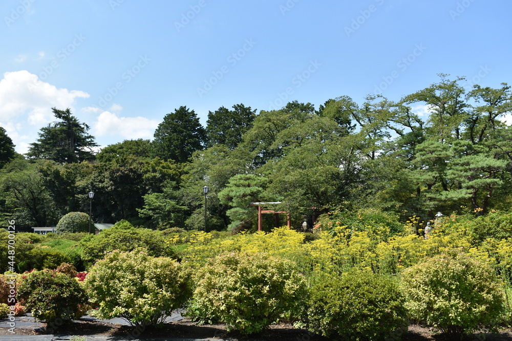 日本　群馬の名所　真田の城　沼田城と周辺の風景