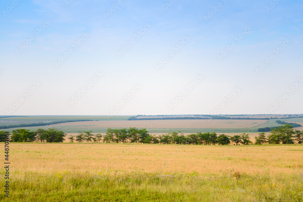 Panorama with wide green and yellow fields, blue sky and forests Panorama with wide green and yellow fields, blue sky and forests