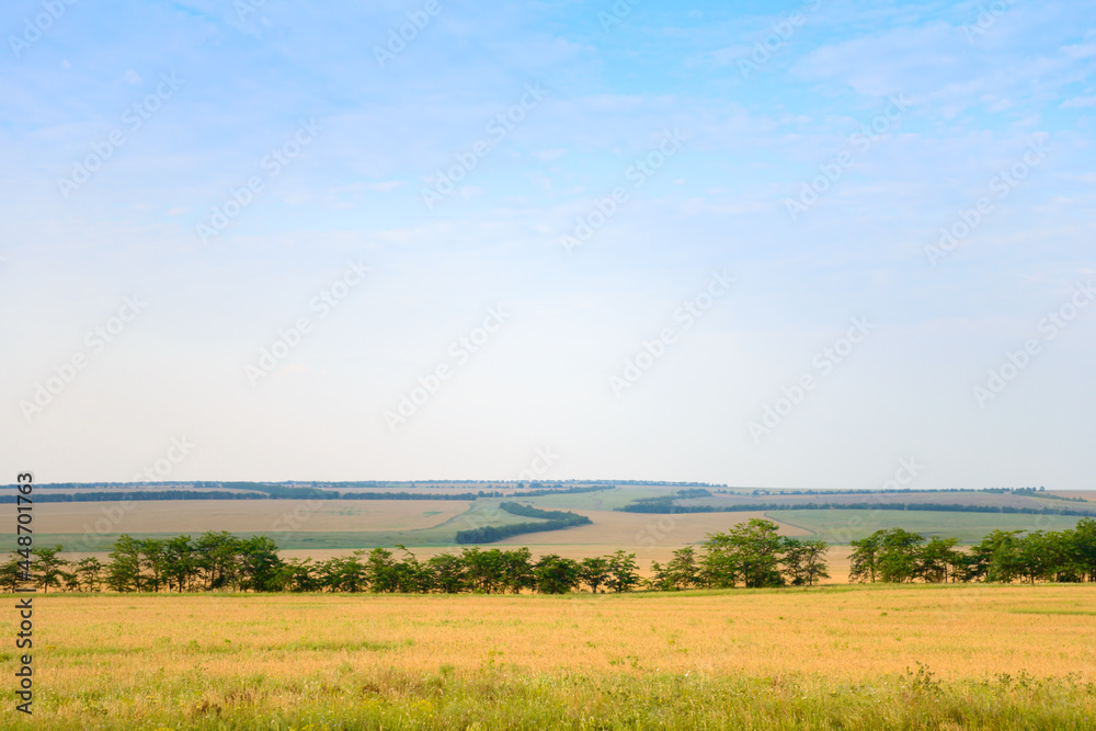 Panorama with wide green and yellow fields, blue sky and forests