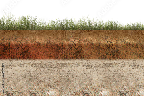 фотографія Underground soil layer of cross-section earth with grass on the top