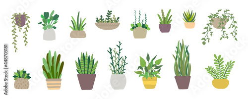 Set of vector house indoor plants, potted plants collection on white background. Flat colorful vector illustration.