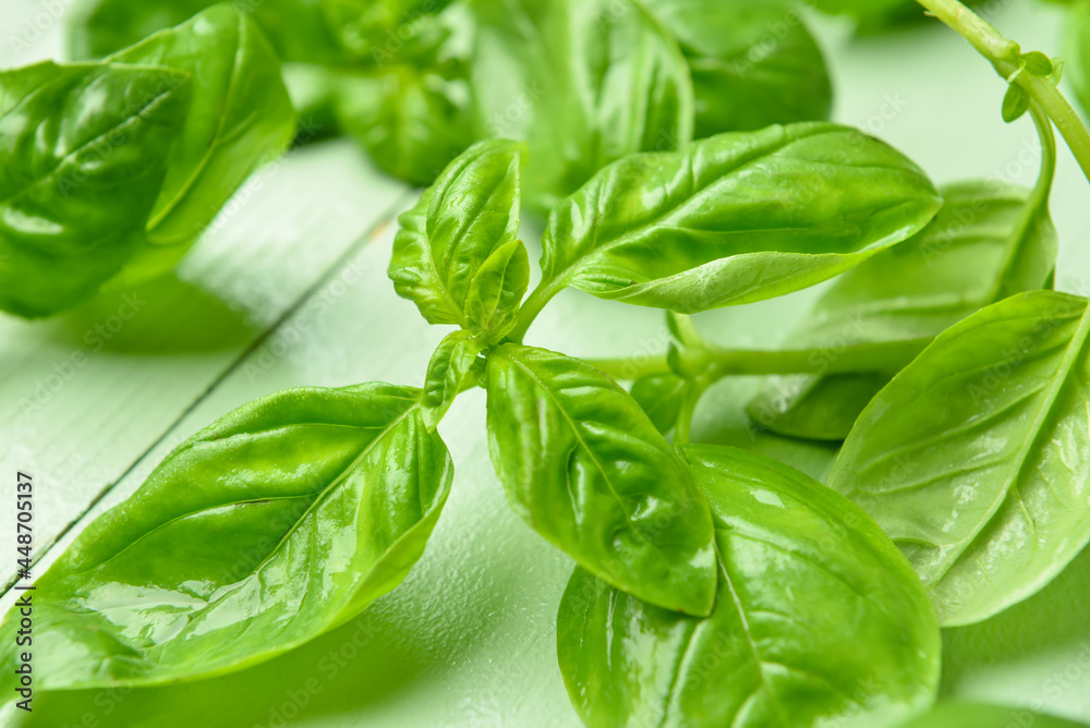 Fresh basil leaves on color wooden background, closeup Fresh basil leaves on color wooden background, closeup